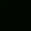 ZeeuwseBlackTopper