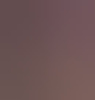 bagoas