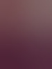 biduiker71