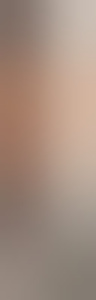 demicdb