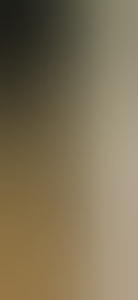 dianetv