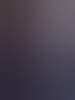 domimocro88