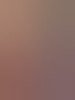dvsnl