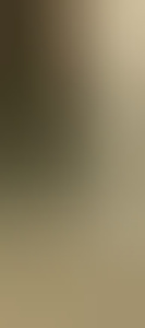 erik643