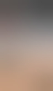 leo56
