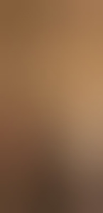 lonneketv