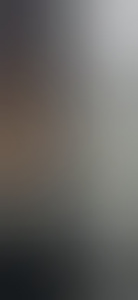 lsw