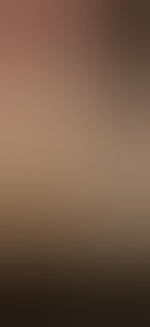 nlcdvoortop