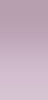 pantycd