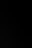 pascal65