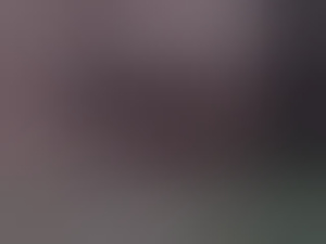 peetcd