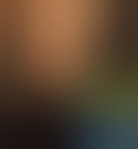 secretjoy69