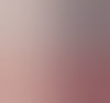 transnaomi