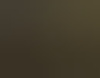 westkustbi